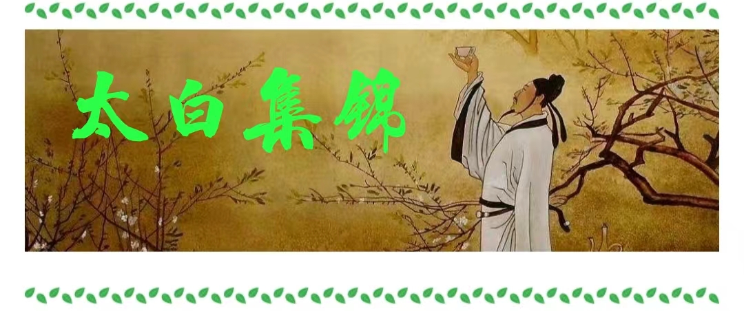 太白集錦第39期